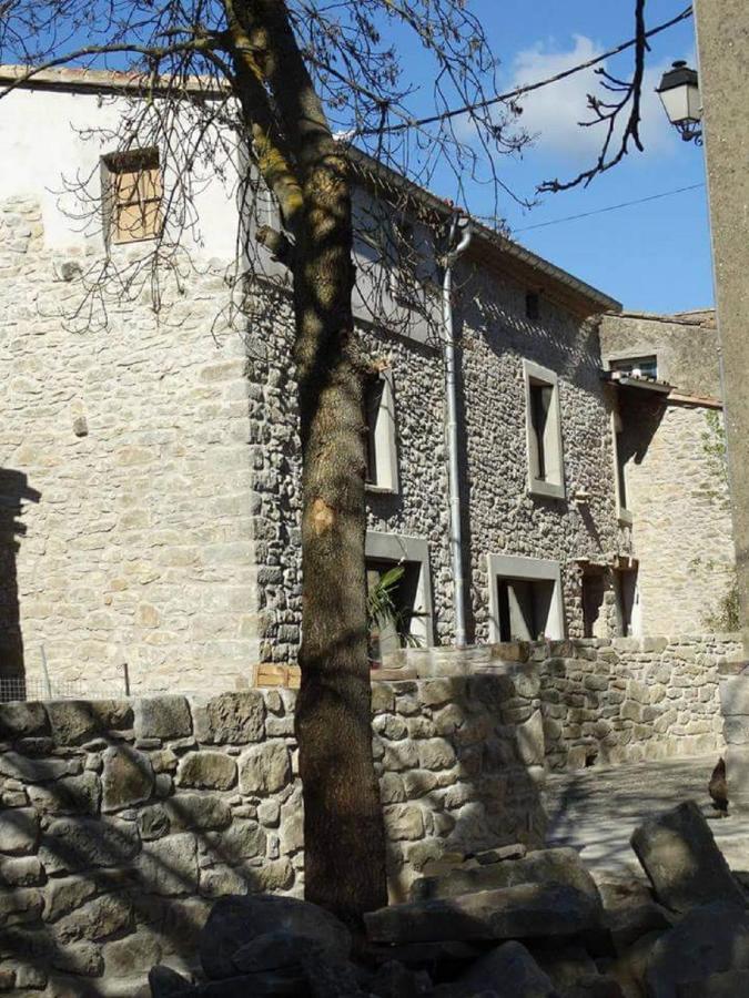 Villa Misanid Ecrin De Verdure A 15Mm De La Cite De Carcassonne Mas-des-Cours Eksteriør billede